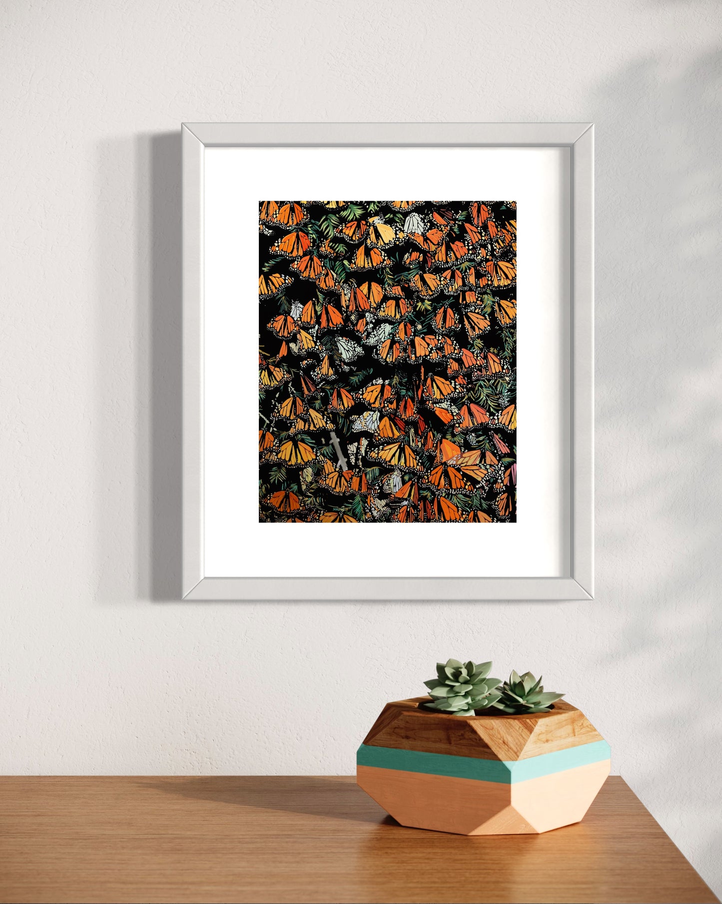 Monarch Butterflies