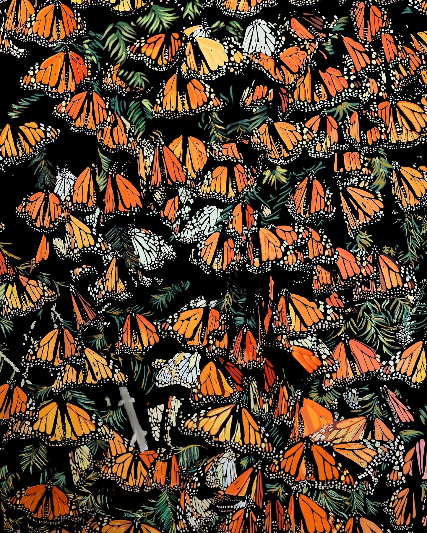 Monarch Butterflies