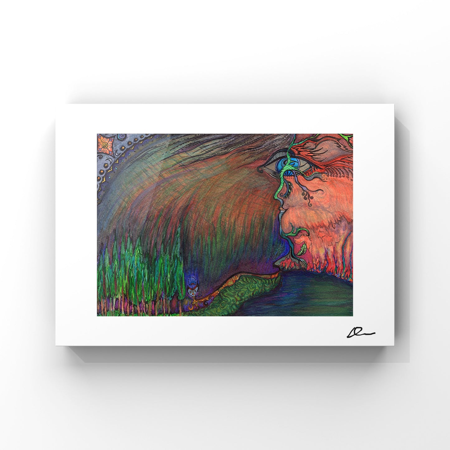 The Enchanted Forest