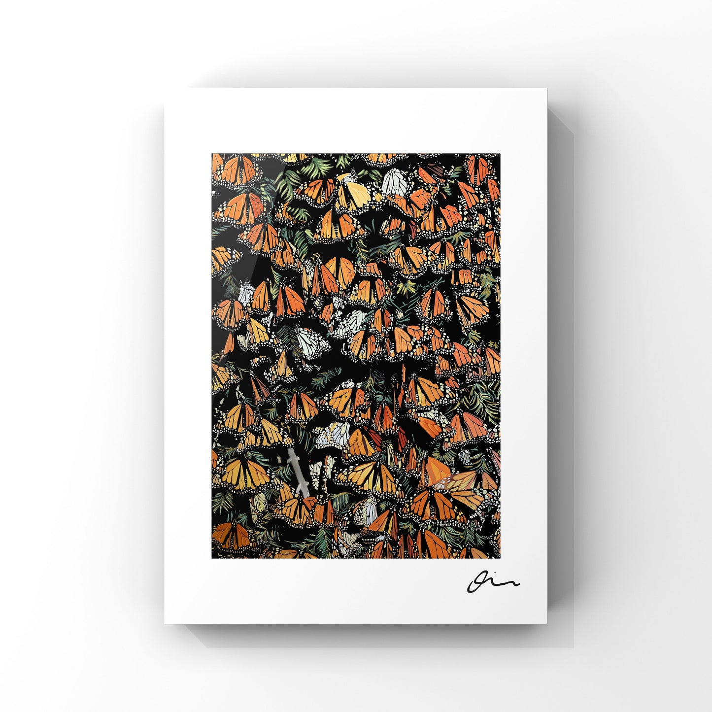 Monarch Butterflies