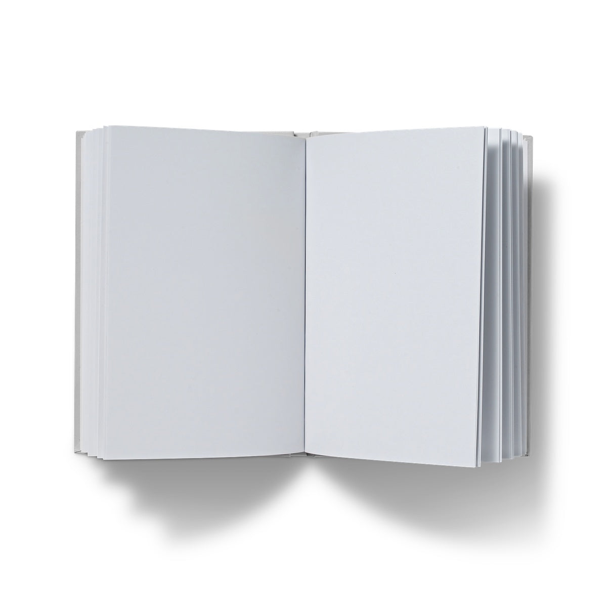 Dream Journal